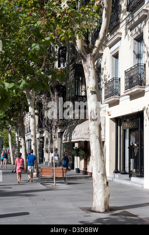 Calle de Serrano, Madrid, Spanien Stockfoto