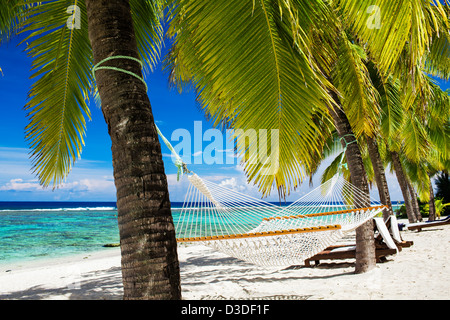 Leere Hängematte zwischen Palmen am tropischen Strand Stockfoto
