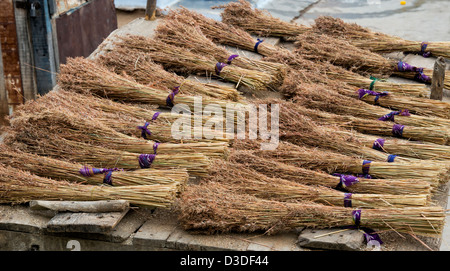 Indische Gras reed Bürsten auf der Rückseite eines Ochsenkarren in einem ländlichen indischen Dorf. Traditionelle indische Besen. Andhra Pradesh, Indien Stockfoto