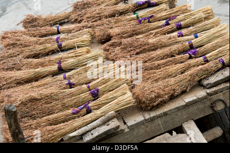 Indische Gras reed Bürsten auf der Rückseite eines Ochsenkarren in einem ländlichen indischen Dorf. Traditionelle indische Besen. Andhra Pradesh, Indien Stockfoto