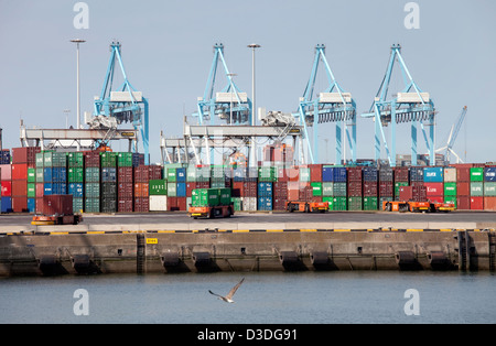 Rotterdam, Niederlande, Container-Stapel in Rotterdam Stockfoto