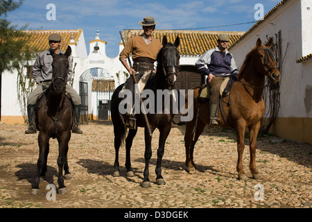 FINCA LA RUIZA, HUELVA, Spanien, 21. Februar 2008: Don Tomas Prieto De La Cal, 41, (Mitte) Sets aus mit zwei Cowboys, mit seiner Herde Kampfstiere, Kühe und Kälber zu arbeiten. Er züchtet einige der wildesten Stiere in Spanien. Stockfoto