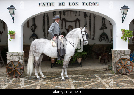 LOS ALBEREJOS FINCA, JEREZ DE LA FRONTERA, Spanien, 23. Februar 2008: Antonio Domecq, 37, ein professioneller Rejoneador oder Stierkämpfer zu Pferd, Tracht auf seinem Pferd Favoutite in den "Hof der Stiere" bei seinem Onkel Alvaro Domecq Ganaderia oder Bull Zuchtfarm genannt Torrestrella. Stockfoto