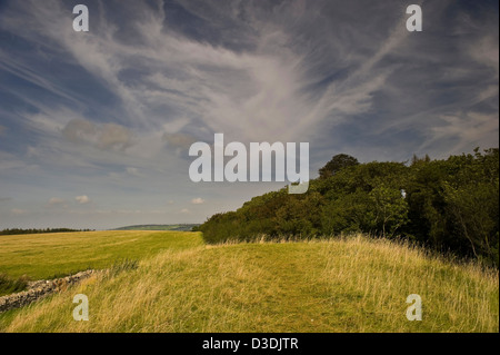 Belas Knap neolithischen gekammert Dolmen in der Nähe von Winchcombe, Gloucestershire, UK Stockfoto