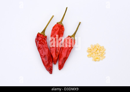 Capsicum Annum "Superchili". Drei Getrocknete Chilischoten und Samen auf einem weißen Hintergrund. Stockfoto