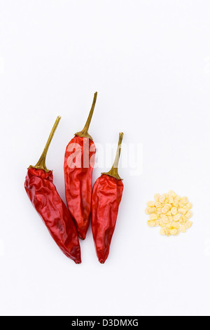 Capsicum Annum "Superchili". Drei Getrocknete Chilischoten und Samen auf einem weißen Hintergrund. Stockfoto