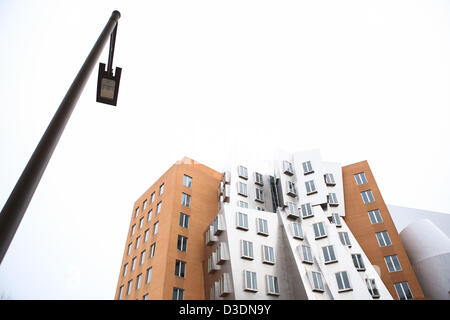 16. Februar 2013 - Cambridge, Massachusetts, USA - The Ray und Maria Stata Center entworfen von Pritzker-Preisträgers Architekt Frank Gehry für das Massachusetts Institute of Technology in Cambridge, Massachusetts auf Samstag, 16. Februar 2013. (Bild Kredit: Nicolaus Czarnecki/ZUMAPRESS.com ©) Stockfoto