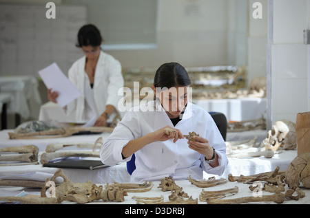 Anthropologie-Labor des Ausschusses für vermisste Personen in Zypern Stockfoto