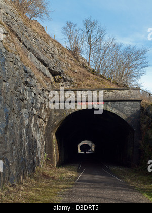 Chee Tor Nr. 2 Tunnel bei Müller im Dale Peak District Stockfoto