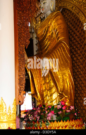 Buddha wird von Buddhisten als erwachten und erleuchteten Lehrer erkannt, die unterrichteten Menschen, Burmesisch-Buddha-Tempel, Penang, Malaysia Stockfoto