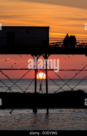 Sonnenuntergang in Aberystwyth und Tausende von Staren strömen, um unter Aberystwyth Pier Schlafplatz. Die spektakuläre Murmuration zieht Touristen aus nah und fern. Stockfoto