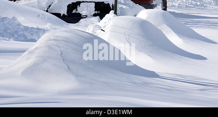 New Haven--Autos unter Berge von Schnee in Westville nach Nemo der schlimmste Schneesturm in der CT-Geschichte Stockfoto