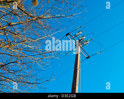 Äste in der Nähe von Hochspannung Strommast - Frankreich. Stockfoto