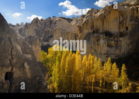 Tal von Göreme Höhlenwohnung Taube Häuser im Freilichtmuseum Kappadokien Türkei im Herbst Stockfoto