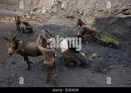 WUDA COAL FIELD, WU HAI, Innere Mongolei, CHINA - AUGUST 2007: Mein Bergleute bei einem illegalen Private Nutzung Maultiere ihre Kohle schleppen. Stockfoto