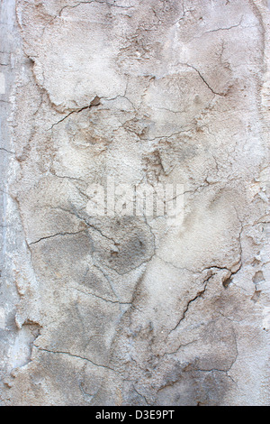 Verputzte Wände sind nicht glatten und rauen Oberflächen-Finish. Stockfoto