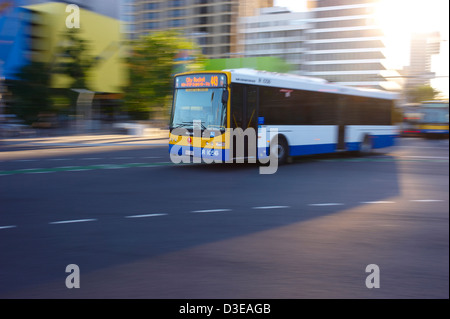 Brisbane City Council Bus Australien Stockfoto