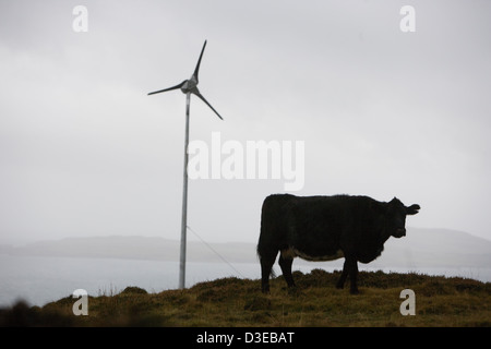 Insel der EIGG, Schottland 31. Oktober 2007: die erste fertige Windkraftanlage steht aufrecht, während eine Kuh im Vordergrund weidet. Stockfoto