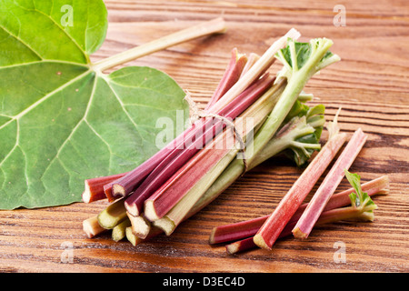 Rhabarber Stängel auf einem Holztisch. Stockfoto