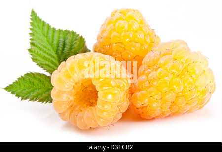 Gelbe Himbeeren isoliert auf einem weißen Hintergrund. Stockfoto