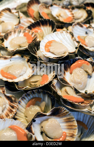 Frische Rohstoffe "Muscheln" in Schalen auf dem Eis an einem Marktstand Fisch in Venedig Italien Stockfoto