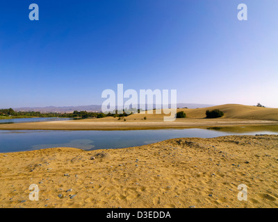 Dünen von Maspalomas, Gran Canaria, Kanarische Inseln, Spanien Stockfoto