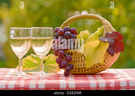 Zwei Gläser Wein und frischen Trauben im Herbst nach der Ernte Stockfoto