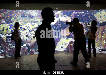 Besucher als nächstes für das Aquarium Aquarium in Atlantis Palm Hotel Dubai VAE darstellt, wie ein Fotograf ein Bild aufnimmt. Stockfoto