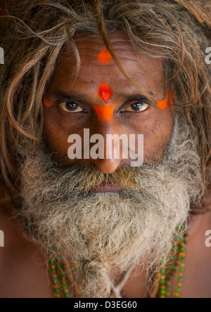 Naga Sadhu In Juna Akhara, Maha Kumbh Mela, Allahabad, Indien Stockfoto