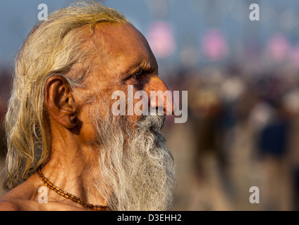 Naga Sadhu, Maha Kumbh Mela, Allahabad, Indien Stockfoto