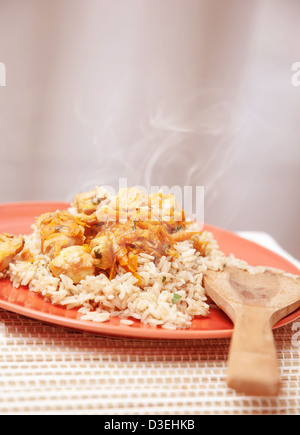 Foto von heißen Huhn Mahlzeit mit Reis, traditionelle chinesische Müsli mit lecker zubereiteten Fisch, gesunde Ernährung, Bio-Lebensmittel, Stockfoto