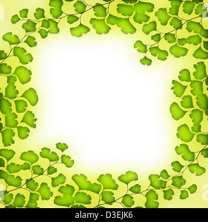Bild der grünen Blätter Rahmen, frischen Baum Laub isoliert auf weißem Hintergrund, Textfreiraum, Frühling, Sommer, Stockfoto