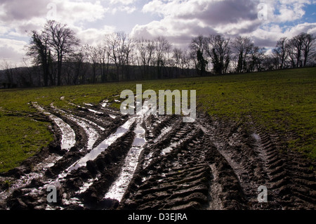 Traktorspuren in einem schlammigen Feld Stockfoto