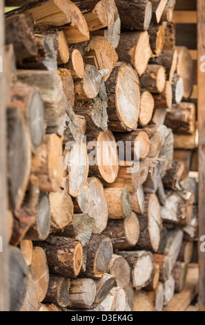 Seite Ansicht Nahaufnahme der Holzhaufen mit Kiefer Baumstämmen gestapelt Stockfoto