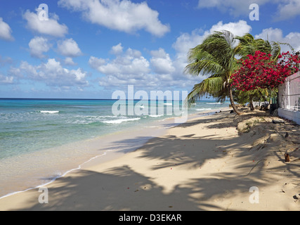 MAHOGANY BAY BEACH, BARBADOS Stockfoto