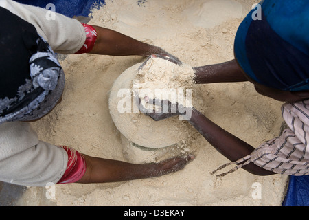 SORO Stadt, WOLAYITA ZONE, SÜDÄTHIOPIEN, 19. August 2008: eine Verteilung in einer ergänzenden Fütterung von Mais und Soja Stockfoto