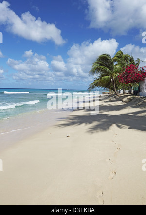 MAHOGANY BAY BEACH, BARBADOS Stockfoto