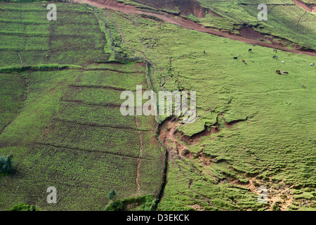 SORO Stadt, WOLAYITA ZONE, Äthiopien, 19. August 2008: Schutz Steinmauern und Terrassierung Agrarland an steilen Hängen Stockfoto