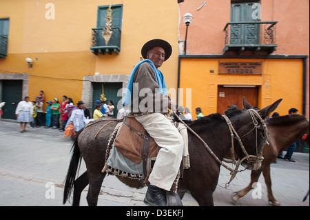 Peru, Ayacucho. Karwoche. Szenen aus der Palmsonntag. Traditionelle Eintrag der Tiere in der Stadt. Stockfoto