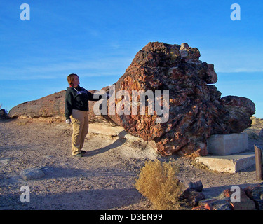 Besucher des Petrified Forest National Park erkunden den Giant Logs Trail, beobachten uraltes versteinertes Holz und genießen die umliegende Landschaft. Der Park bietet verschiedene Freizeitaktivitäten, darunter Wandern, Sightseeing und Tierbeobachtung, was ihn zu einem familienfreundlichen Reiseziel macht. Stockfoto