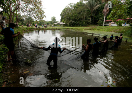 Peru, Loreto, Iquitos, Manatee-Projekt. Stockfoto