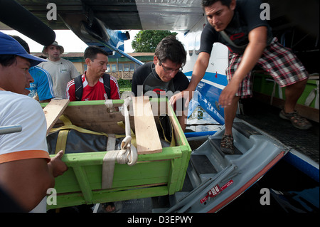 Peru, Loreto, Iquitos, Manatee-Projekt. Peru, Loreto, Iquitos, Manatee-Projekt. Stockfoto