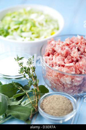 Zutaten von Mett, Porree, Salbei, Salz und Pfeffer Stockfoto