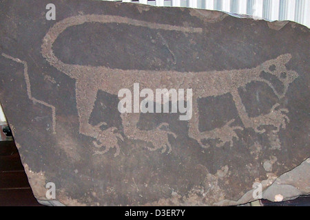 Berglöwen Petroglyph, Painted Desert Inn National Historic Landmark, Petrified Forest Nationalpark Stockfoto