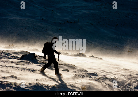 Einsamer Mann im schottischen Winter zu Fuß auf den schottischen Bergen Stockfoto