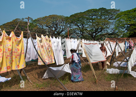 Wäsche waschen Textile Kochi Cochin Kerala Indien Stockfoto