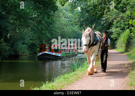 Dandy der Cleveland unter der Leitung von Don zieht das Schiff in der Nähe von Manley Brücke über den Canal Grande Western, Tiverton, Devon Stockfoto