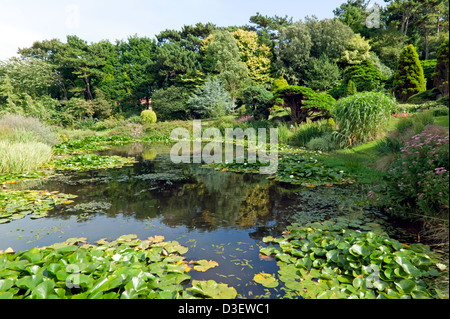 Lilly Teich in The Pines Garden, St. Margret Bay, Kent. Stockfoto