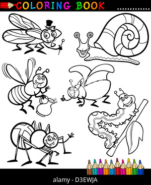 Schwarz / weiß-Malbuch oder Seite Cartoon Illustration Set lustige Insekten und Bugs für Kinder Stockfoto