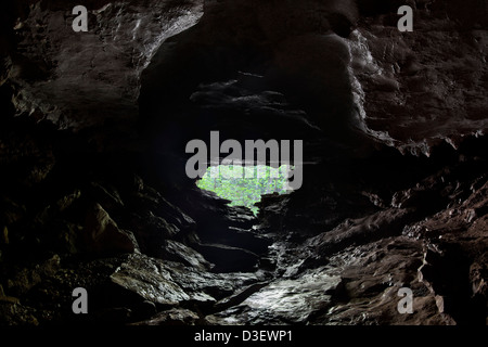 In einer dunklen feuchten Höhle mit dem beleuchteten Ausgang in Sicht. Stockfoto